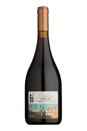 audace vinhotinto caritasnobre