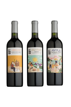 audace kit tintosimpactantes1